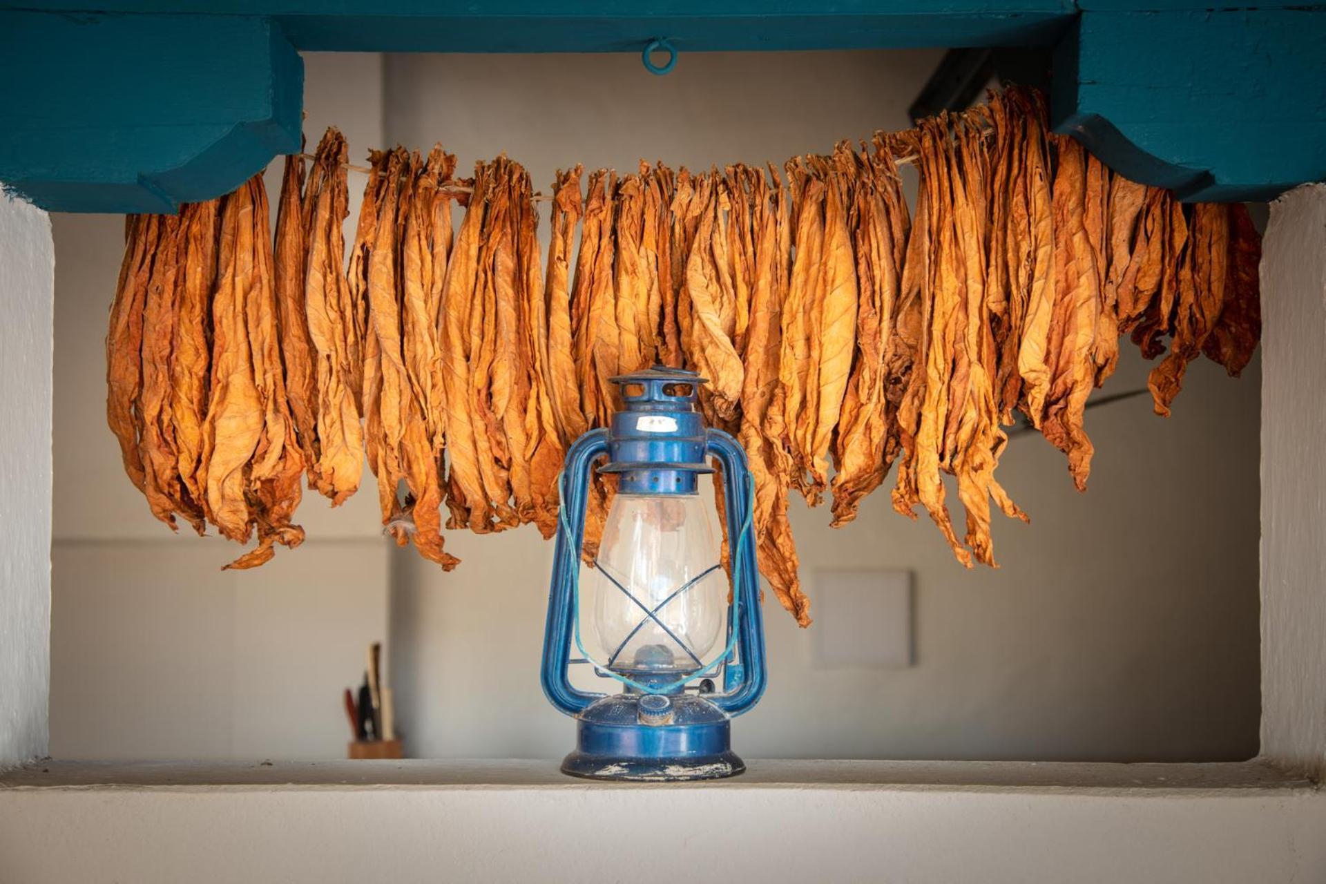 Posada Del Campanario Barichara Εξωτερικό φωτογραφία
